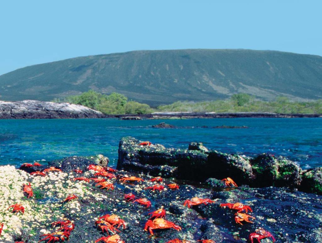 Dear Alumni, Friends, and Parents, We invite you to join us for this incredible, once-in-a-lifetime, firsthand opportunity to experience the Galápagos Islands, a UNESCO World Heritage site.