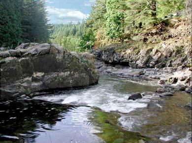 ~ EAST FORK LEWIS RIVER ~ FLOWING FROM ZIG ZAG MOUNTAIN high in the Gifford Pinchot National Forest, the East Fork Lewis is one of the few major undammed rivers in Volcano Country.