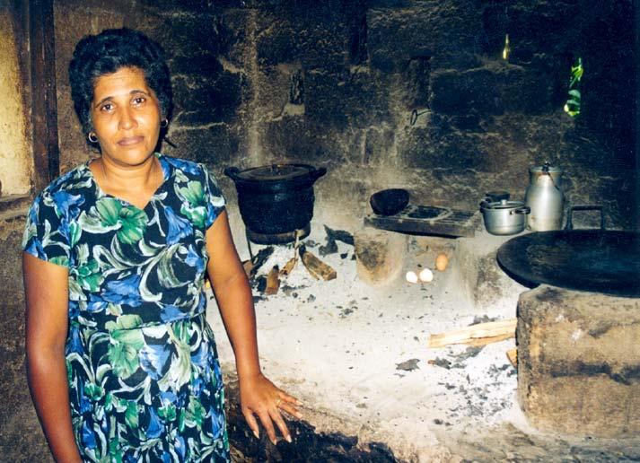 stoves (no chimney) 13 % have improved stoves (stove