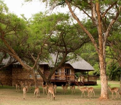 Malelane, the magnificent 3500 hectare Mjejane Game Reserve has been absorbed into the Kruger National Park and enjoys direct access to the Kruger over a private causeway.