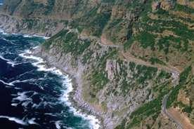 From here you drive to the Cape of Good Hope Nature Reserve via Chapman s Peak, one of the world s most breathtaking