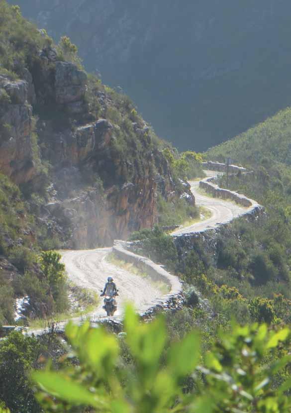 Next, we meander up into Mpumalanga (Bikers Paradise) and explore the panorama route, enjoy a safari into Kruger National Park and ride the Waterberg mountains surrounding Magoebaskloof.