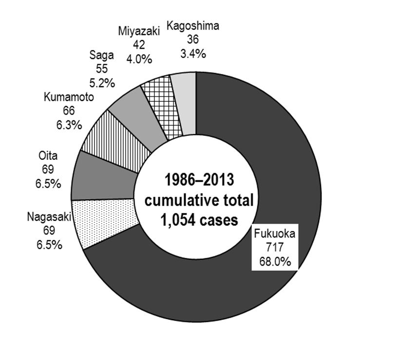 Overseas Operations of Kyushu Companies 2 In 2013, the number of overseas investment cases from Kyushu stood at 28, showing downtrend that has continued since a peak of 71 cases reported in 2010.