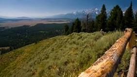 Scenic Drives Signal Mountain Summit Road: Drive five miles to the top of Signal Mountain for panoramic views of the Teton Range and a 360-degree view of Jackson Hole.