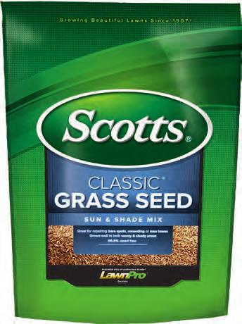 6 99 Scotts Classic Sun & Shade Grass