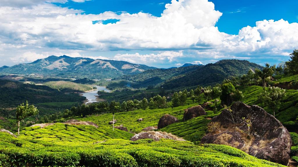 This spectacular journey into the rich landscapes of the Western Ghats provides a seemingly endless array of temples and national parks, as you travel from the palaces of Mysore to the breathless