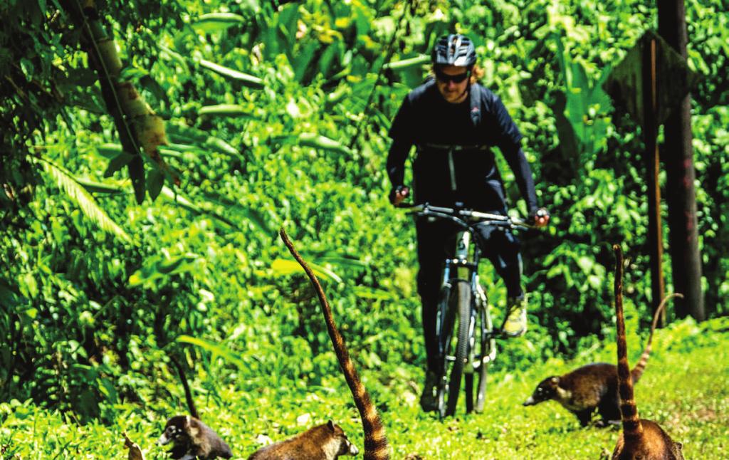 CYCLE NICARAGUA, COSTA RICA & February 18 - March 4, 2017 From $4,295 pp land-only From $4,195 if booked by October, 15 2016 HIGHLIGHTS Cycle 3 Central American countries Ride through tropical