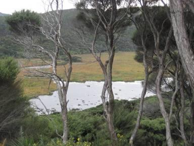 Te Henga Wetland Photo: J Macdonald Significance of the Te Henga Wetland The Te Henga Wetland at 153 hectares is the largest wetland in the Auckland Region and, according to a report by the National