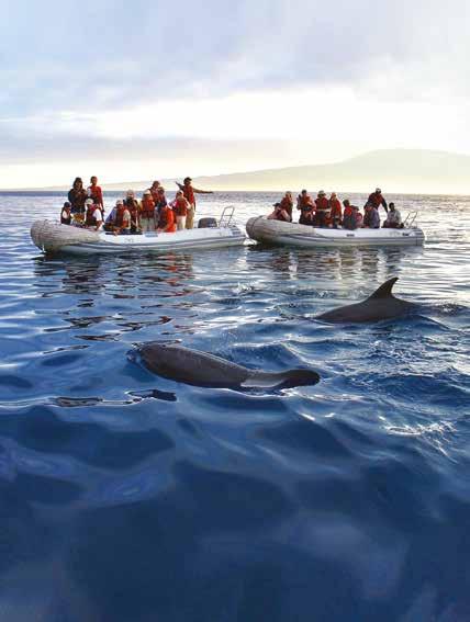 THE AMERICAS Galápagos Wildlife Adventure 10 days from $8,995 Limited to 18 guests Visiting Guayaquil and the Galápagos Islands Machu Picchu Extension 5 days from $3,495 A&K ADVANTAGES Cruise for six