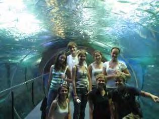 Monday 13/07: Aquarium Spend the afternoon exploring the aquarium.