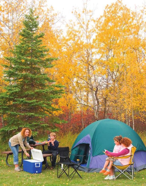 Management Plan 19 e) Camping The Birds Hill campground is the most popular campground in the provincial park system.