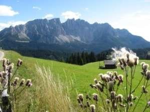 the Alpine area; protecting the