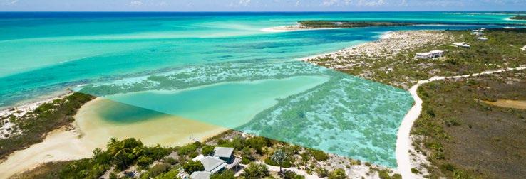 Beachfront Pine Cay Parcels 61206/51, 52 & 53 represent an amazing opportunity to purchase 4.