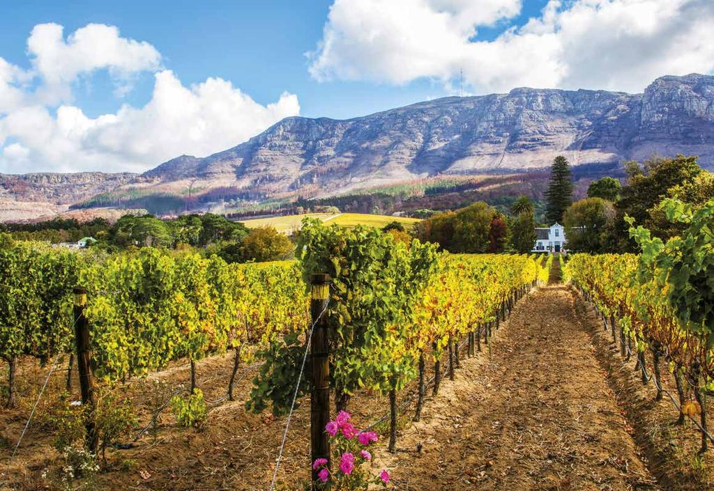 33 o 56 29 S 18 o 27 40 E START POINT CAPE TOWN, SOUTH AFRICA 13 TH DECEMBER 2018 Today you will venture up to the stunning winelands of Constantia located about 25 minutes drive from the city where