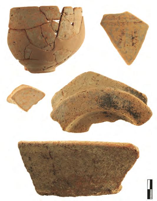 5 cm 16-0064 16-0065 16-0135 0 16-0137 16-0134 16-0136 16-0138 Figure 4. Late Minoan IIIC pithos sherds: 16-0135 and 16-0136 from Locus D2015; 16-0138 from Locus D2013. Photo Ch. Papanikolopoulos.
