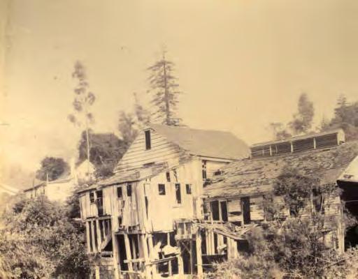 Adolph Mailliard, who first lived in San Rafael, where he engaged in horse breeding and railroad construction, and then settled with his family in 1873 near Castle Rock in today s Woodacre.