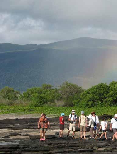 Among these spectacular geological features, we encounter Giant Galápagos tortoises, flocks of frigate birds and Blue-footed Boobies, Darwin s Finches and Galápagos Penguins, colonies of Marine