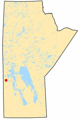 Bell Lake ESTABLISHED >> August 13, 1974 CLASSIFICATION >> Recreation Park LANDSCAPE DESCRIPTION: Total park area is approximately four hectares (ha), located on the north shore of Bell Lake in the