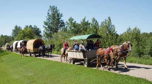 A Brief History of Provincial Parks THE EARLY YEARS The origin of Manitoba s parks goes back to the late 1890s, when the federal government established a number of timber reserves in Manitoba.