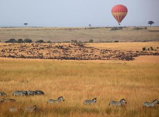 on the shallow ends. Continue your journey to Masai Mara.