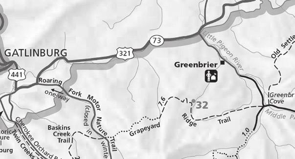 Hike #4- April 23, 2008: Grapeyard and Injun Creek Trail Distance: 6 or 7.