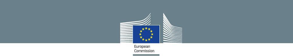 European Economic and Social Committee Public Hearing New