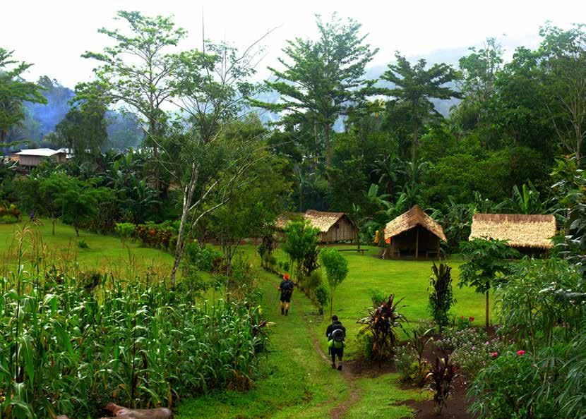 Kokoda Track Ten Day Battlefield Tour The Kokoda Trail is by far the most popular trek in Papua New Guinea and takes between 6-9 days to complete.