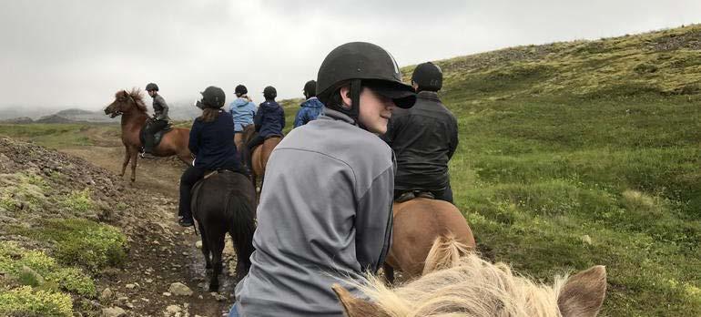 Follow this route: 1. Start with a Horseback Riding experience. Horses in Iceland are the smallest in the world and they have extremely stylish hair!