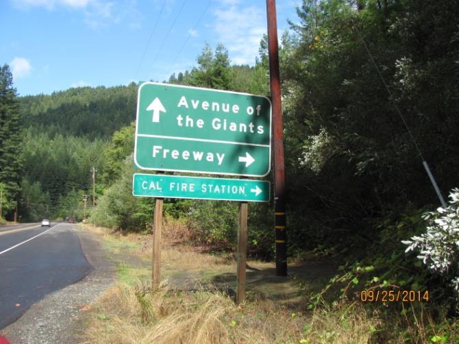 Avenue of the Giants We were told at the Humboldt Redwoods