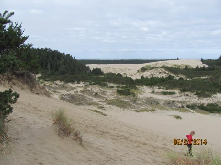 and explored the beautiful sand dunes in 1964.