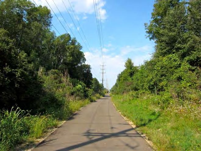 Meridian Township Meridian Township has a large amount of existing and proposed trails, side paths, bike lanes and other non-motorized transportation facilities supported in part by a