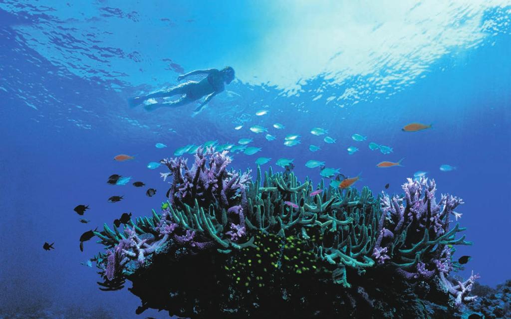 Flights from Sydney are 2 hours 40 minutes. ACTIVITIES AND EXCURSIONS Adventures abound on the Great Barrier Reef.