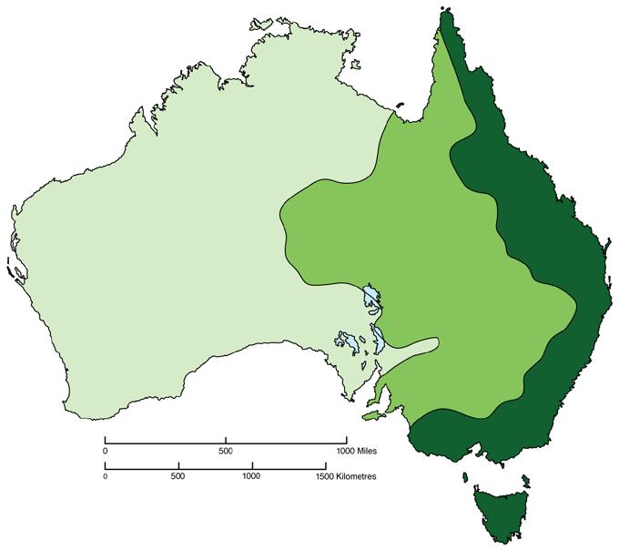 Regions of Australia Animals