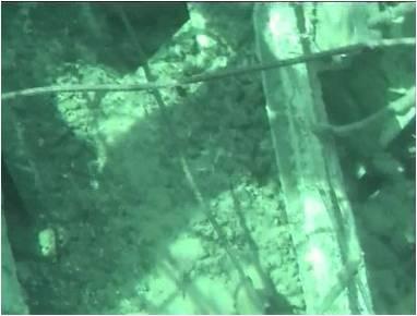 visual inspection by remote controlled camera has shown no significant damage to the spent fuel pond.