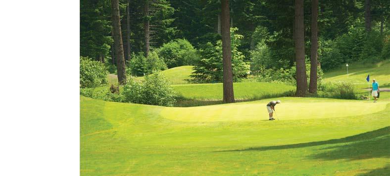 Actiities at Skamania Lodge GOLF The Skamania Lodge Golf Center includes a par 70, 18-hole course, putting green, chipping green, driing range and