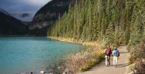 Enriched by their expertise, you ll bring home a deeper understanding of the flora, fauna, cultural history, and natural characteristics of the Canadian Rockies to go with your beautiful photographs,
