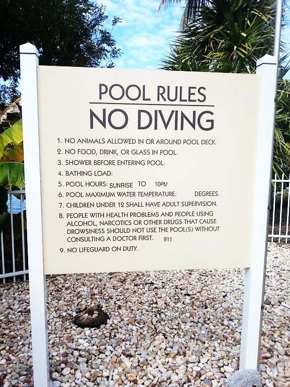 Here are some of the most important pool rules: No diving. No animals allowed in or around the pool.