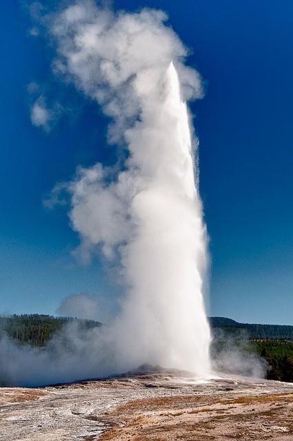 Yellowstone is renowned for its numerous geothermal features, and we ll spend the day walking along the boardwalks and paths viewing many of the Park s wonders.