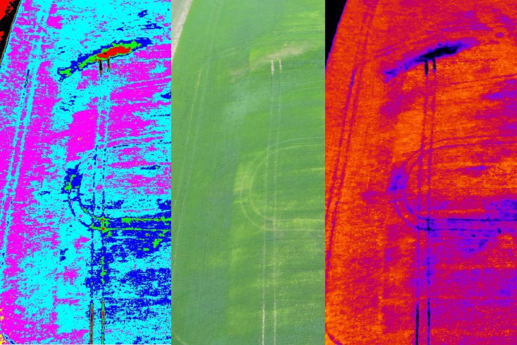 Crop Monitoring Normalized