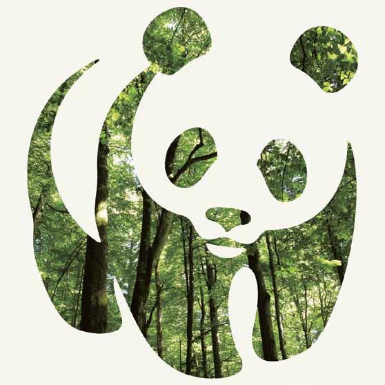 WWF in the Green Heart of Europe 12 WWF is active in 12 countries in Central and Eastern Europe 90 WWF DCP has 90 staff 100% RECYCLED ANNUAL REVIEW 2015 5 350,000 The total budget of WWF DCP last