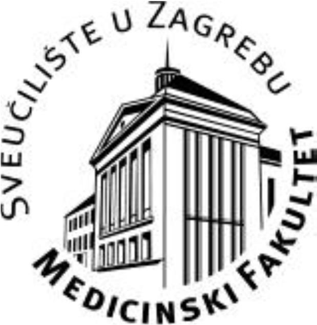 SVEUČILIŠTE U ZAGREBU MEDICINSKI FAKULTET Ana Bojanić Stavovi studenata medicine prema radu u