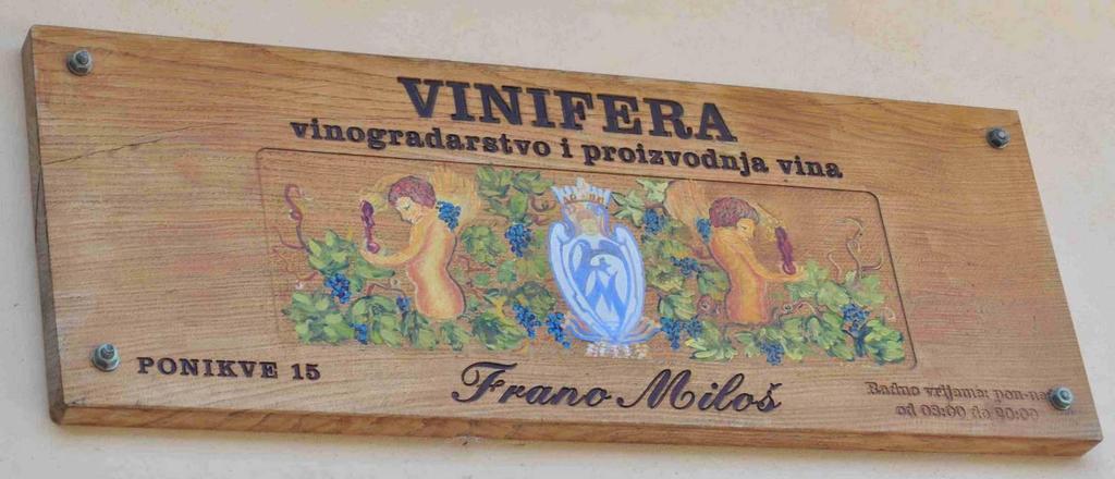 - Vinifera, Frano Miloš - Pilot organic vineyard (min 0,5ha out of 10ha), in policulture with autochtonous medical and aromatic herbs (1ha), in traditional