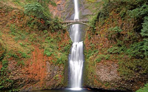 COLUMBIA & SNAKE RIVERS JOURNEY: HARVESTS, HISTORY & LANDSCAPES ITINERARY: 7 DAYS/6 NIGHTS NATIONAL GEOGRAPHIC SEA BIRD Multnomah Falls.