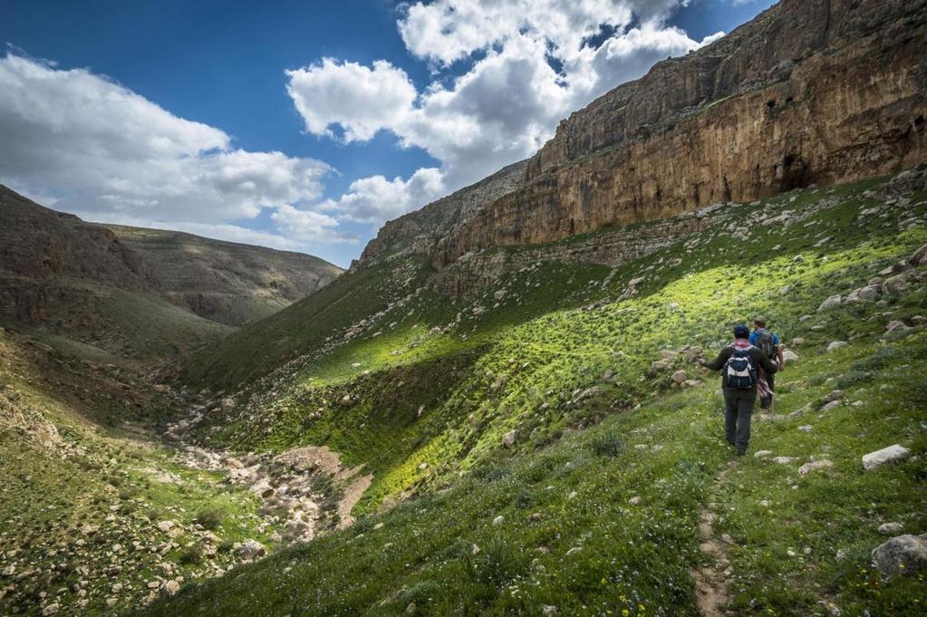 Auja, a deep, rugged wadi that runs to Ein al- Auja (Al- Auja Spring) in the Jordan Valley.
