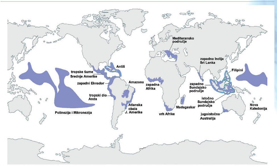 Sve biocenoze na svijetu nemaju jednaku raznolikost vrsta. Raznolikost životinja mijenja se s geografskom širinom.