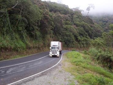One hour climbing the Highlands Highway through a series of hairpin bends brings you the Daulo Pass, a high altitude biodiversity hotspot where the road winds through swirling mists past giant tree