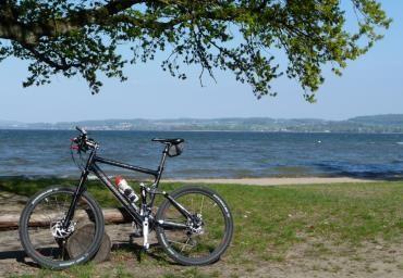 GUIDED HIKE AND BIKE TOURS Seeland Mountainbike Tours for "Oldies" Mountainbike tours around the lake of Murten and in the region with people above 55.