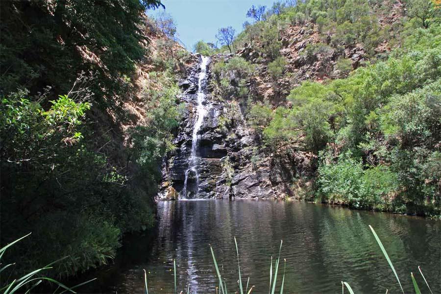 Adelaide is a beautiful city, and one of the most incredible things about Adelaide is the quality of bushwalking available on the suburban fringe.