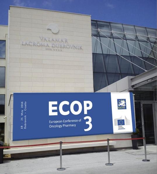 Banner 6300 mm European Road 2500 mm Brand Positioning Conference 570 x 290 mm platinum gold 390 x