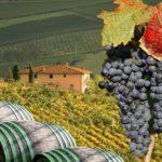 Florence - Chianti Wine Tasting & Dinner Your private transfer will take you to the Chianti region where you can explore a castle, visit Greve and